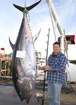 Steve McCowan và con cá thu nặng 325 kg.